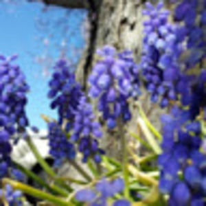 Meet your Posher, Vickie